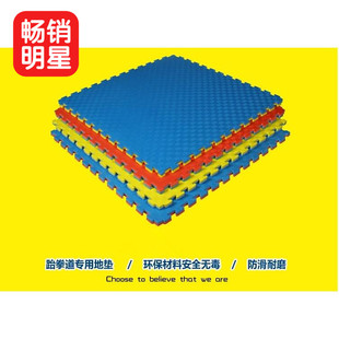 跆拳道地垫健身房地垫隔音减震垫子加厚家用武术散打1米泡沫地垫