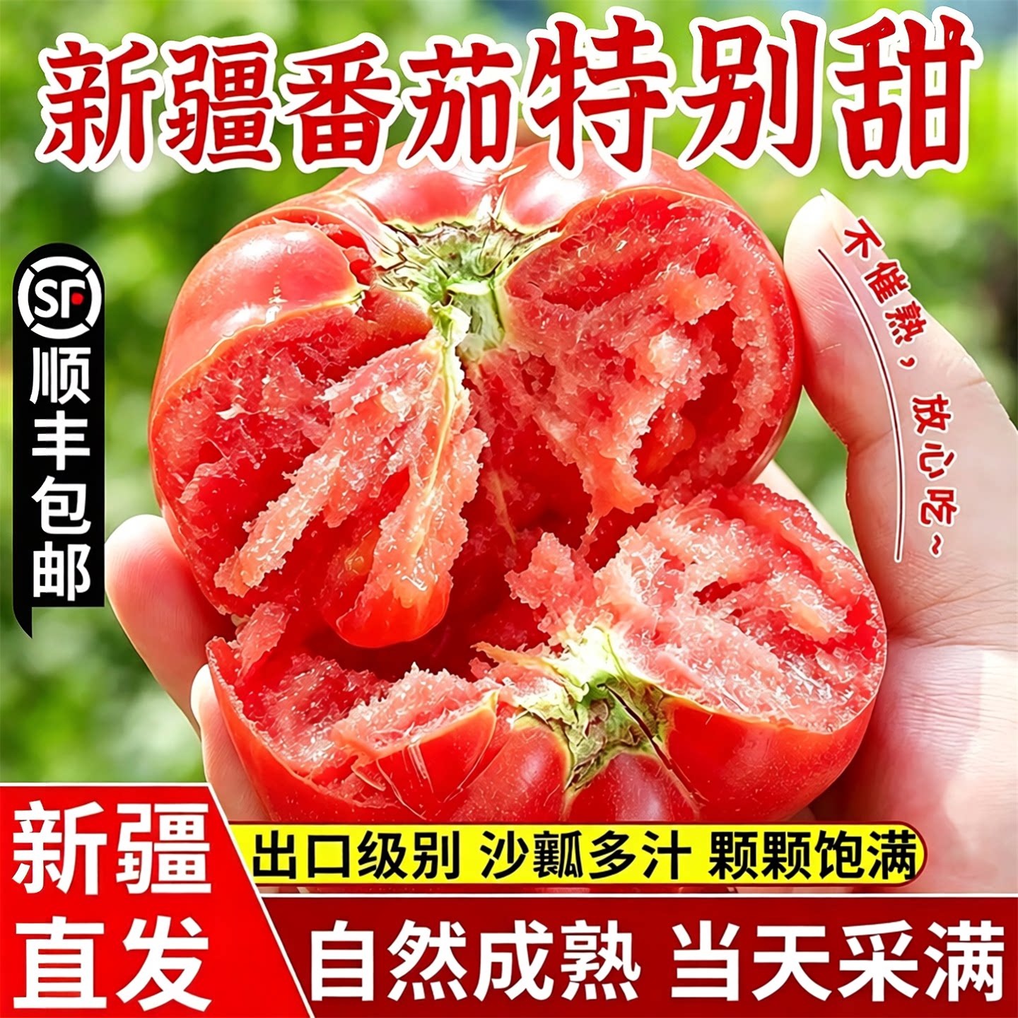 新疆普罗旺斯西红柿沙瓤新鲜自然熟应季水果番茄生吃5斤顺丰包邮