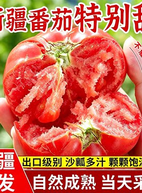 新疆普罗旺斯西红柿沙瓤新鲜自然熟应季水果番茄生吃5斤顺丰包邮