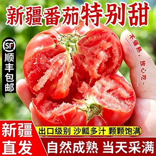 新疆普罗旺斯西红柿沙瓤新鲜自然熟应季水果番茄生吃5斤顺丰包邮
