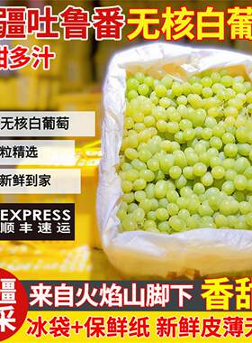 新疆吐鲁番无核白葡萄无籽青提