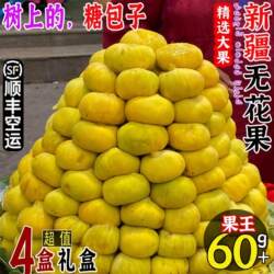 新疆阿图什无花果鲜果当季新鲜水果树上糖包子软糯香甜顺丰空运