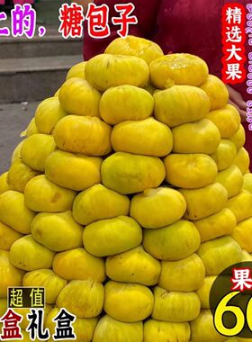 【官方推荐】新疆阿图什无花果