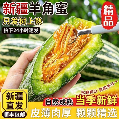 新疆羊角蜜瓜博洋9号当季新鲜
