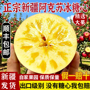 当季 新疆阿克苏冰糖心苹果精选大果礼盒装 新鲜水果 新疆直发