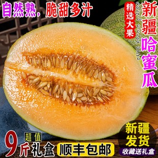 正宗新疆哈密瓜新鲜一箱吐鲁番西州蜜25号应当季现摘蜜瓜整箱包邮