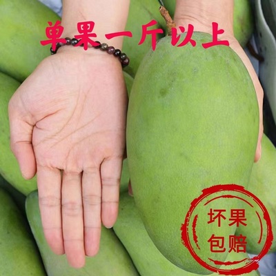 芒果新鲜10斤特大金煌越南大青芒