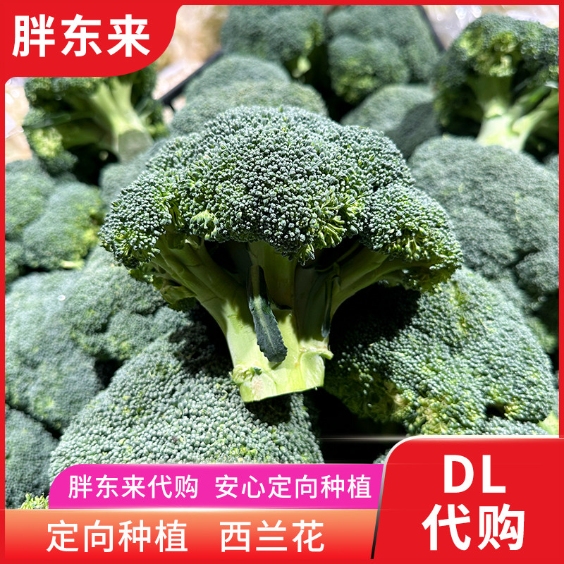 胖东来蔬菜 定向种植西兰花绿花菜花椰菜西蓝花 安心蔬菜正品代购