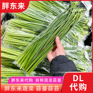 胖东来蔬菜 新鲜蒜薹蒜苔蒜台 白帽蒜苔鲜嫩爽脆安心蔬菜正品代购