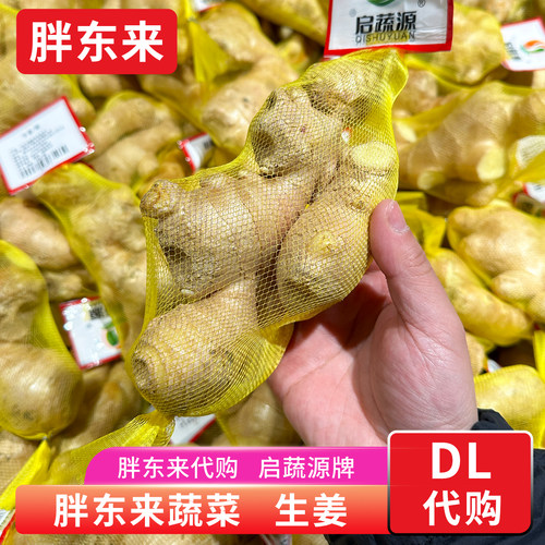 胖东来蔬菜 生姜新鲜大姜老姜 启蔬源牌做菜作料 安心蔬菜代购