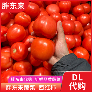 胖东来蔬菜 西红柿番茄沙瓤皮薄肉厚 酸甜多汁胖东来安心蔬菜代购