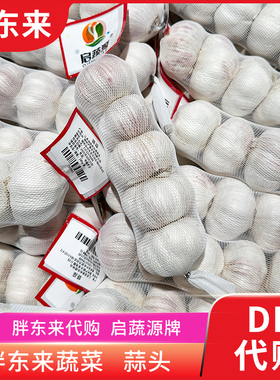 胖东来蔬菜 大蒜头袋蒜新鲜干蒜 240g袋/5个 安心蔬菜正品代购