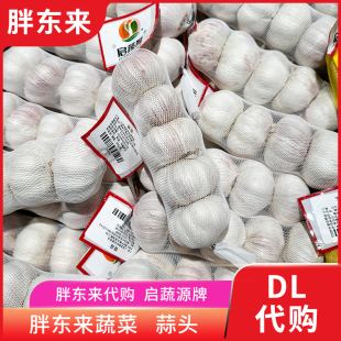 大蒜头袋蒜新鲜干蒜 代购 240g袋 安心蔬菜正品 5个 胖东来蔬菜