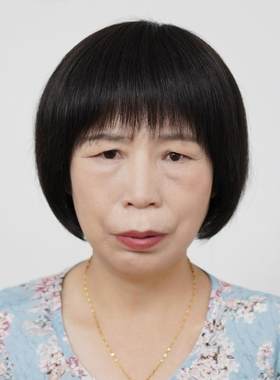 50岁以上中老年人真发全头套