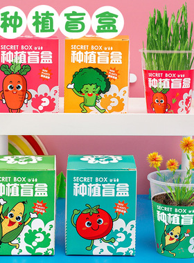儿童植物种植盆栽盲盒小学生六一小学生礼物励志奖励幼儿园小礼品