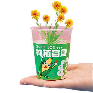 儿童植物种植盆栽盲盒小学生六一小学生礼物励志奖励幼儿园小礼品