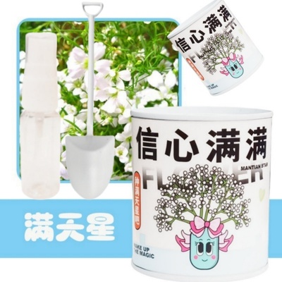 儿童罐装种植小盆栽生日礼品植物