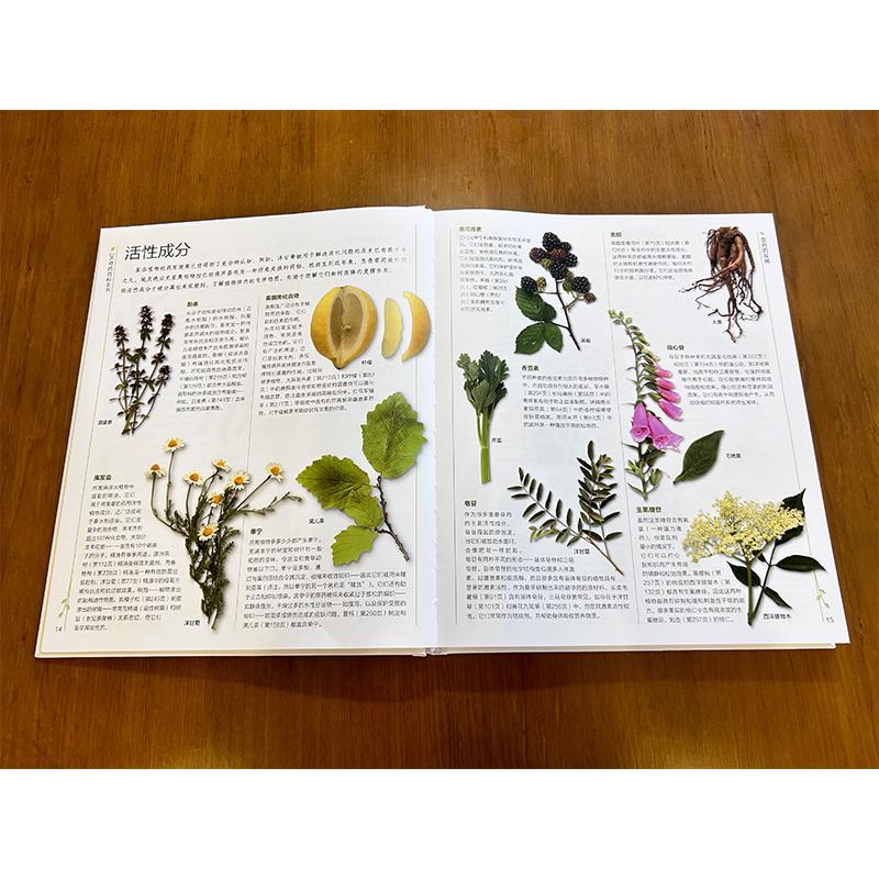 DK草药百科全书