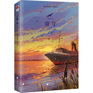 苏 畅销图书籍 高尔基 著 译 童年文学外国文学名著读物精选集小学初中高中生青少年经典 刘良辰 作品集正版