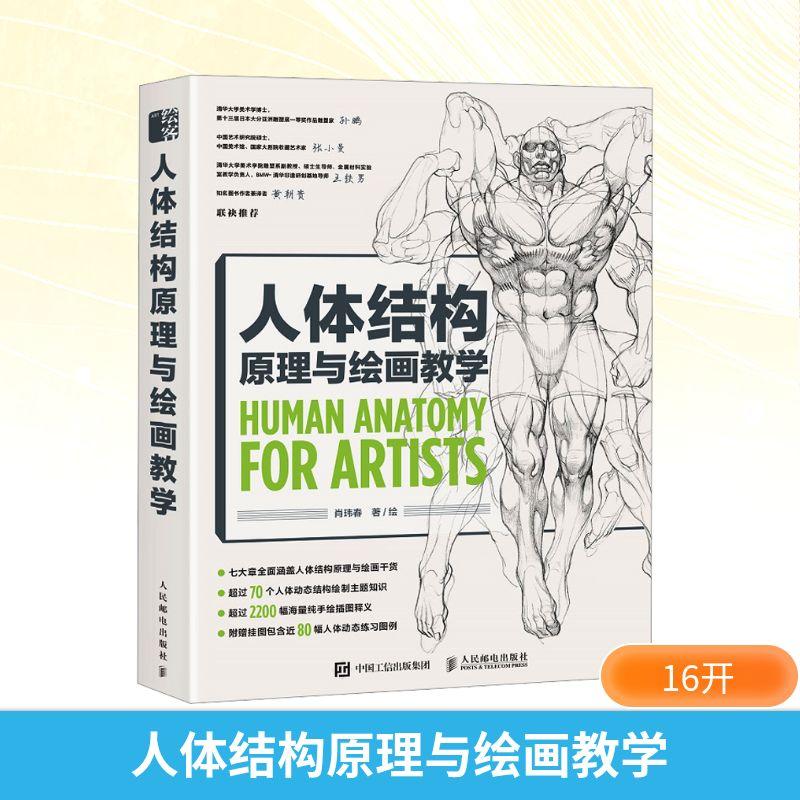 人体结构原理与绘画教学 美术理论艺术适用于美术专业的学生和教师游戏动漫公司的从业人员以及游戏动漫手绘爱好者学习使用正版畅