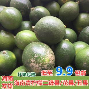 果园现摘海南青柠檬二级果新鲜柠檬绿皮柠檬奶茶店水果小青柠檬