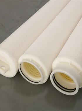 大流量滤芯MFH-D75-4-ESN