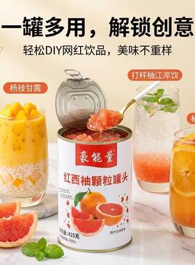 红西柚425g果粒罐头新鲜