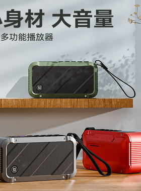 琅韵D82便携无线蓝牙音箱唱戏重低音数字点歌录音FM收音双锂电池