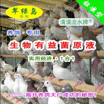 翠绿岛养鸽专用生物有益菌原液提高鸽的产量与品质促进胃肠的消化