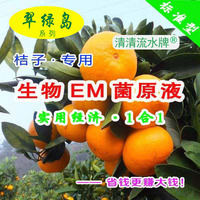 种高质量品相好的桔子都在用翠绿岛生物EM菌原液日本产有益菌活菌