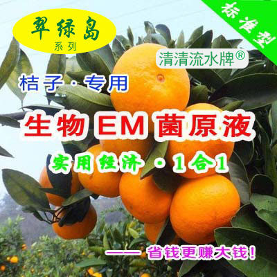 种高质量品相好的桔子 都在用翠绿岛生物EM菌原液日本产的