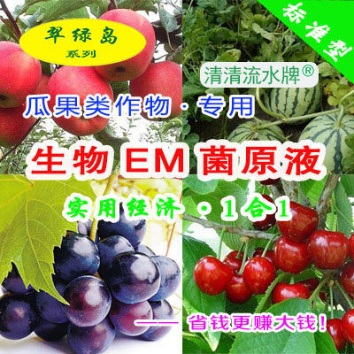榛子有机肥料翠绿岛高质量品相好