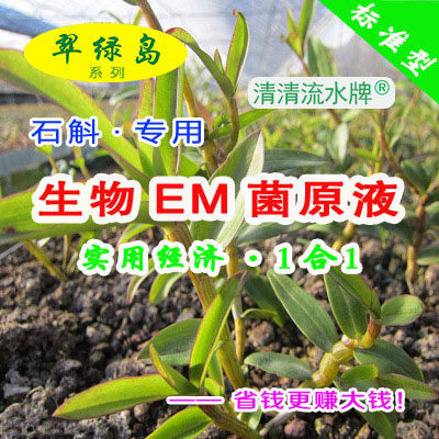 种高质量的铁皮石斛 都在用翠绿岛生物EM菌原液呢日本产的