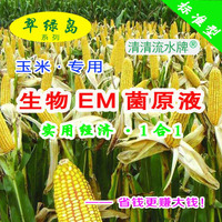 翠绿岛玉米种植专用生物EM菌原液日本产的品质好效果好有益菌活菌