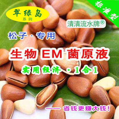 翠绿岛松子种植专用生物EM菌原液日本产的品质好效果好益生菌活菌