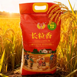 龙江县长粒香新米东北黑龙江大米软糯鲜甜江水灌溉黑土地基地种植