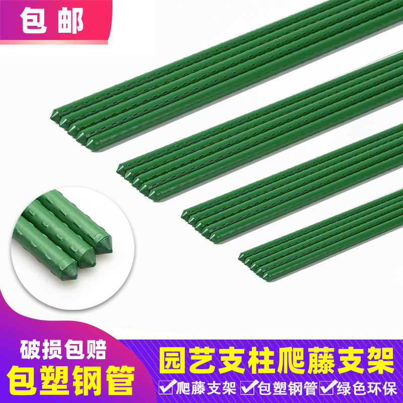 月季庭院户外花卉种菜植物葡萄架