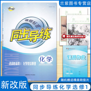 正版2023 课程标准同步导练化学选修1一 考向标高中 实现目标湖南师范大学出版社 高中辅导练习册 课堂同步(含试卷)
