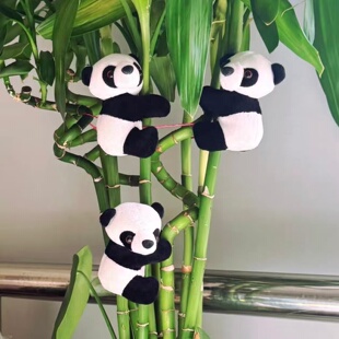 熊猫爬树挂件夹子玩偶可爱毛绒转运竹富贵竹爬树盆栽绿植装饰攀爬