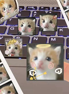 死对头小猫表情包贴纸可爱卷卷贴