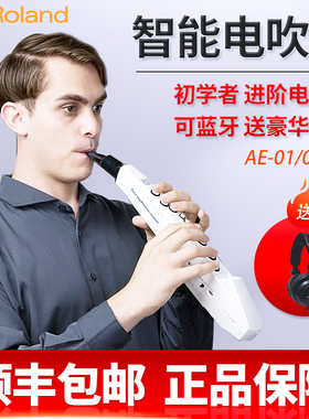 Roland/罗兰 AE01C AE05 AE-10电吹管Aerophone电子吹管电萨克斯