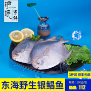 东海野生银鲳鱼新鲜出海白鲳冰冻平鱼海鱼海鲜水产鲜活500g*3包