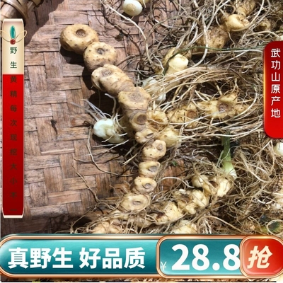 野生黄精新鲜老虎姜黄金武功山深山正品鸡头黄精500g泡茶水酒