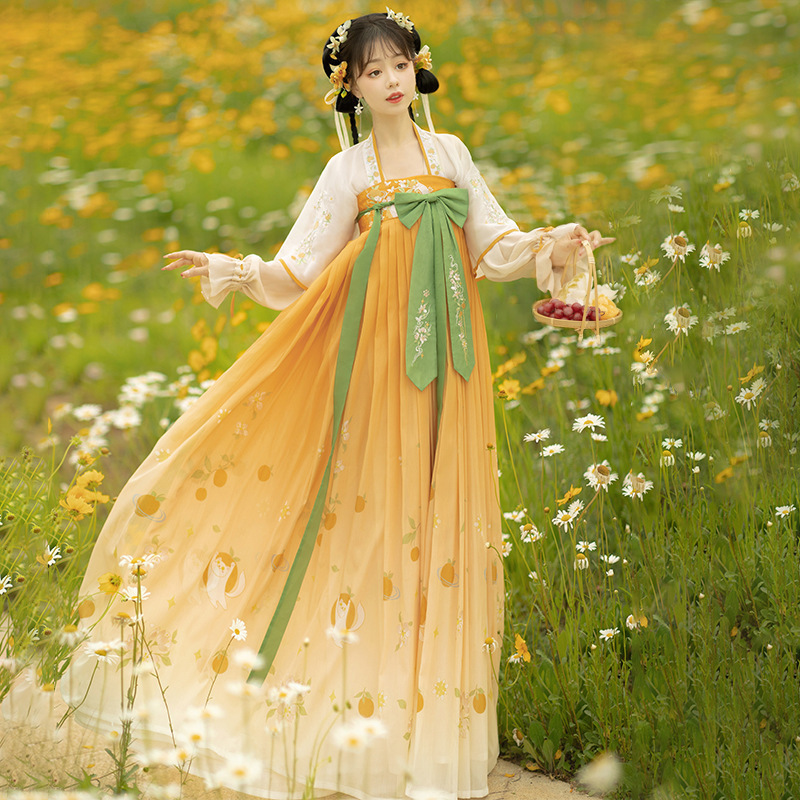 汉服女中国风唐风款齐胸襦裙