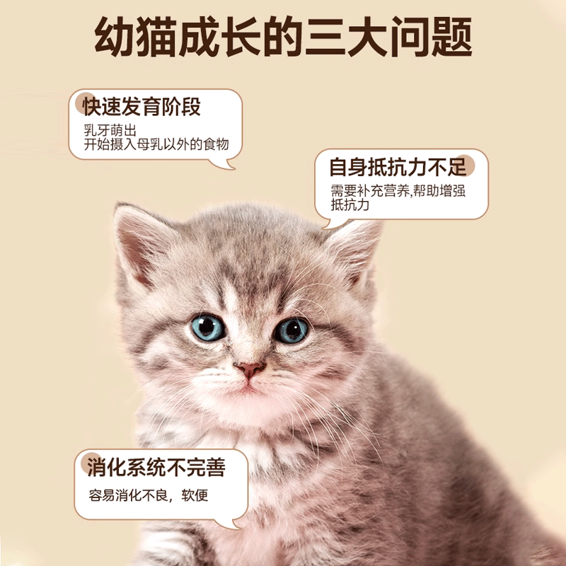 幼猫专用磨牙棒两个月猫咪零食小奶猫冻干羊奶棒2个月1到3月用品