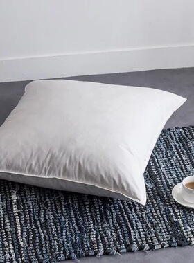 鹅毛靠枕45x45 50 43 55x59 40 60 65酒店床头沙发抱枕靠枕可定制