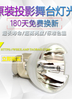 丽讯D4500V/D5000V/D5005/D5180HD/D5185HD/D5050投影机仪灯泡