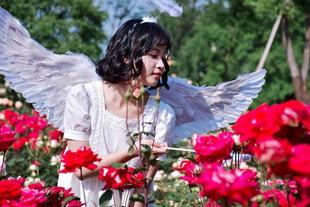 羽毛 cos 道具 Lolita天使翅膀手杖恶魔可配爱神乐章天使街道手作