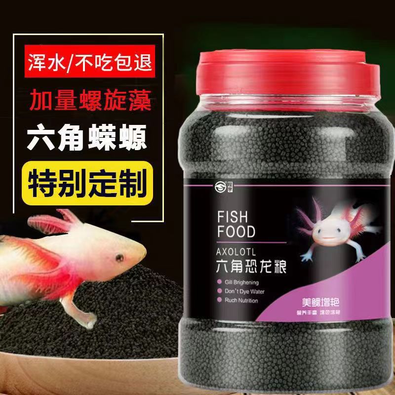 观赏鱼颗粒中国小型鱼六角恐龙