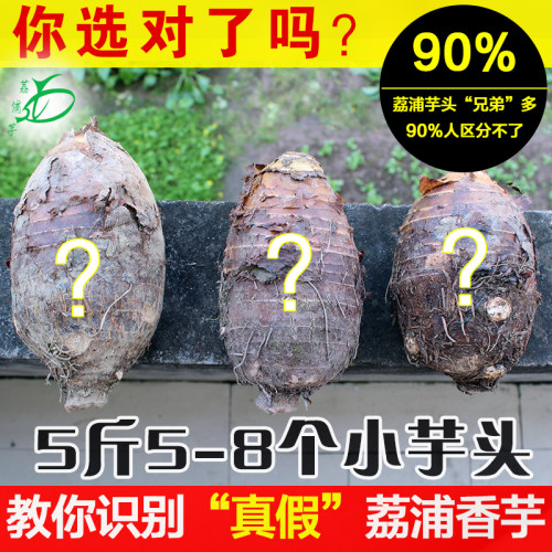 【5斤6-10个】正宗香芋荔浦芋头
